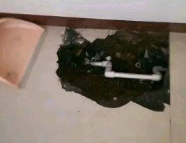 宁海卫生间测漏水多少钱